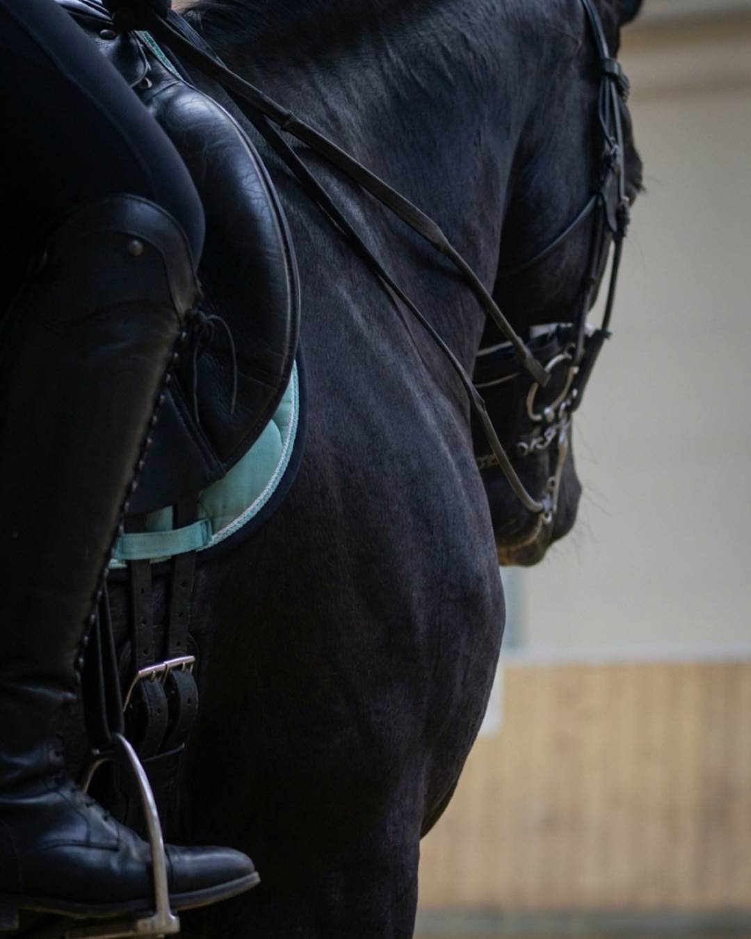 custom-slideshow-image-mobile-block_qN8RWn