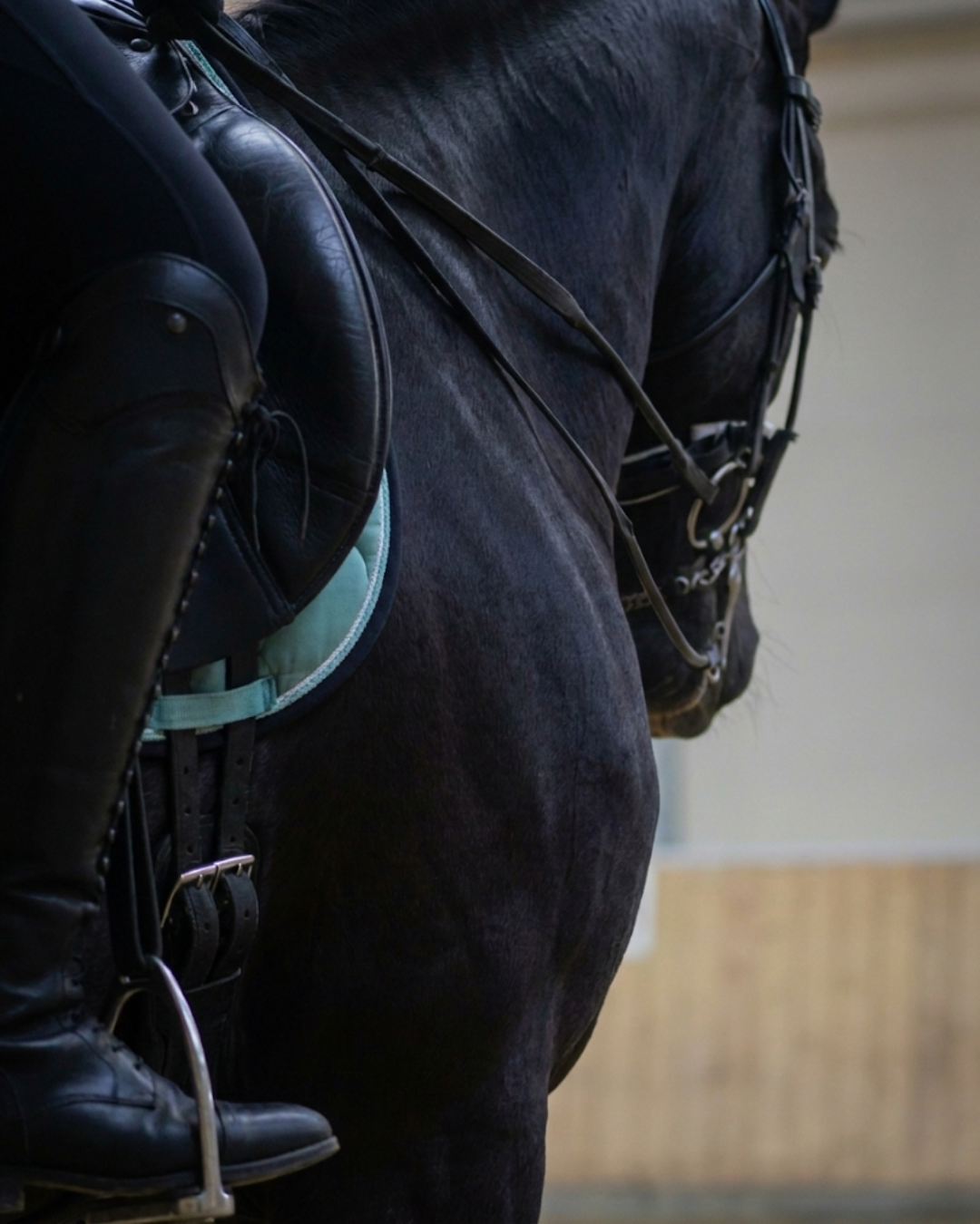 custom-slideshow-image-mobile-block_qN8RWn