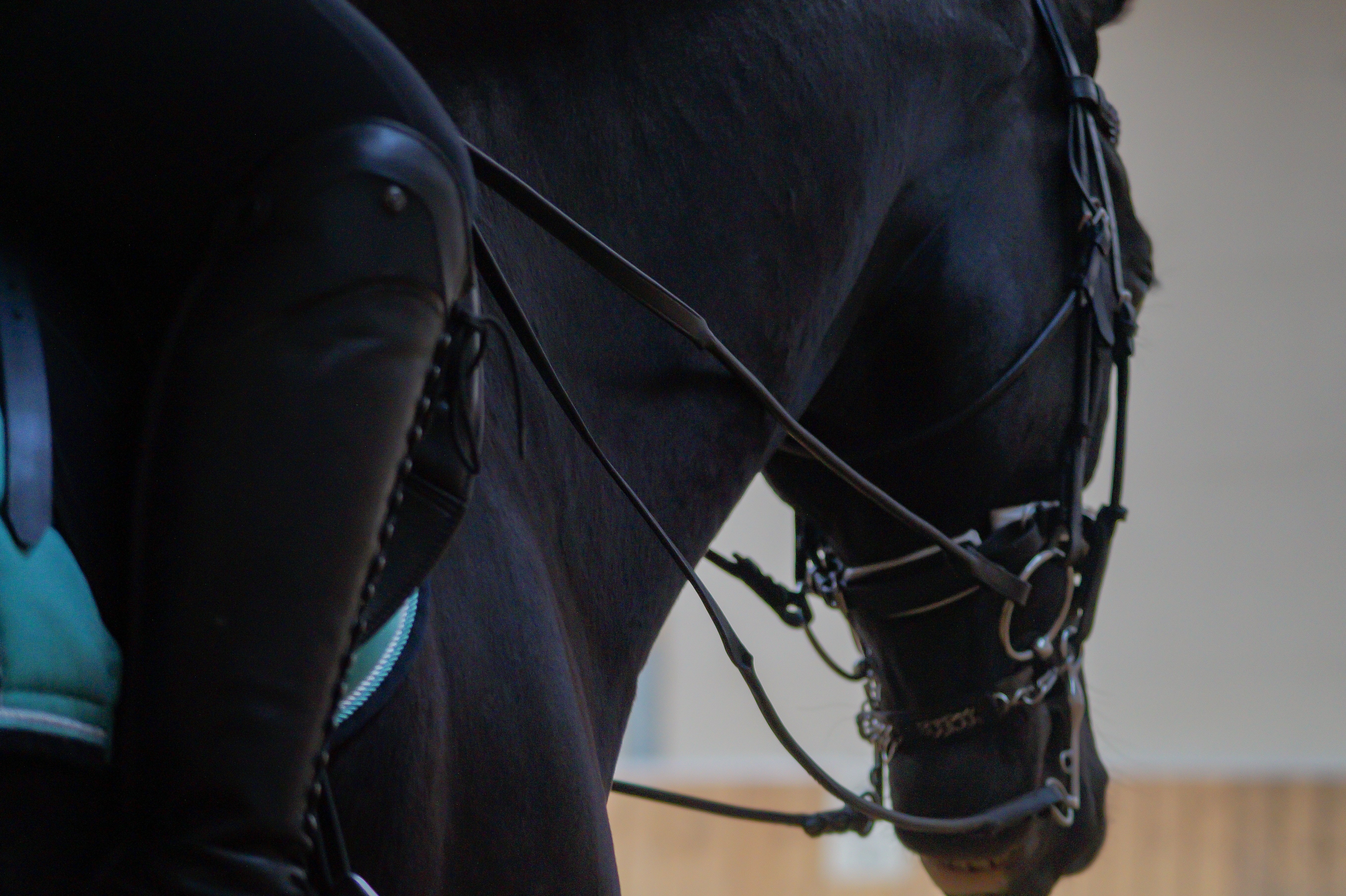 custom-slideshow-image-desktop-block_qN8RWn